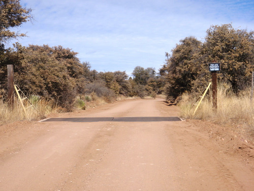 One of many property lines and cattle guards.